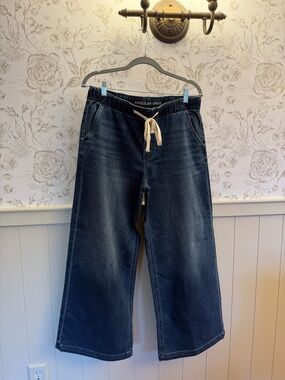 American Eagle Outfitters Wide-Leg Dark Indigo Drawstring Jeans